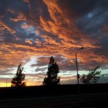 robyn phone fall 2013 098